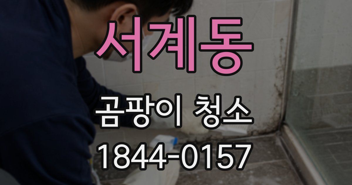 서계동 곰팡이 청소