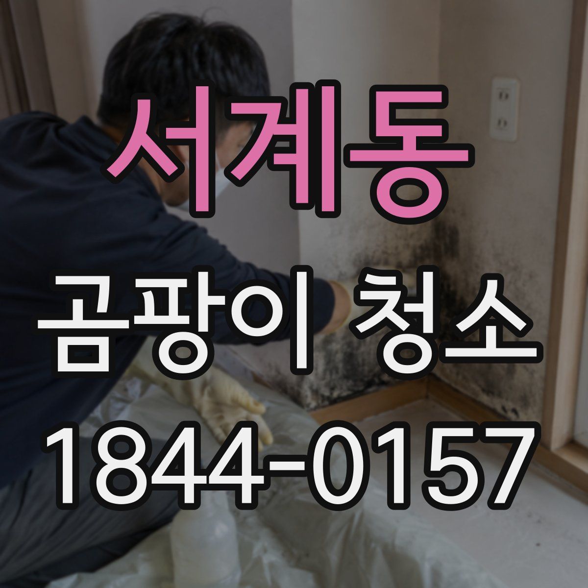 서계동 곰팡이 청소