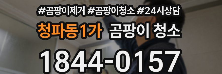 청파동1가 곰팡이 청소