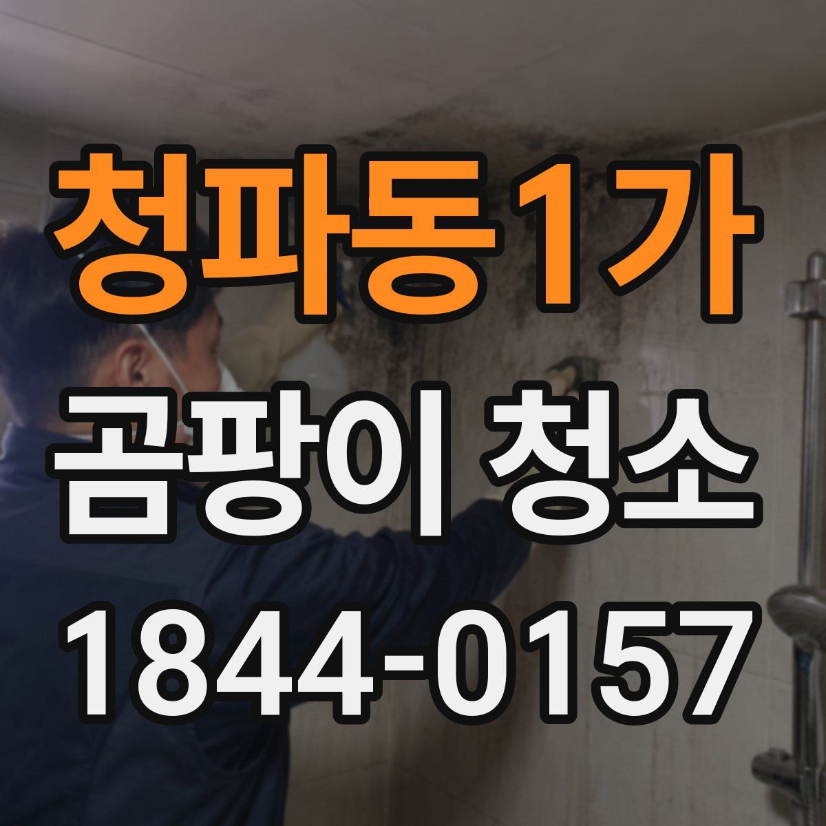 청파동1가 곰팡이 청소