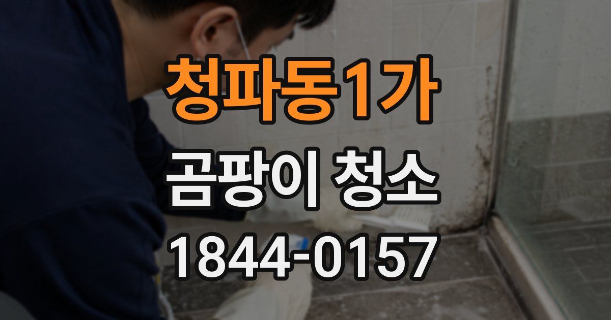 청파동1가 곰팡이 청소
