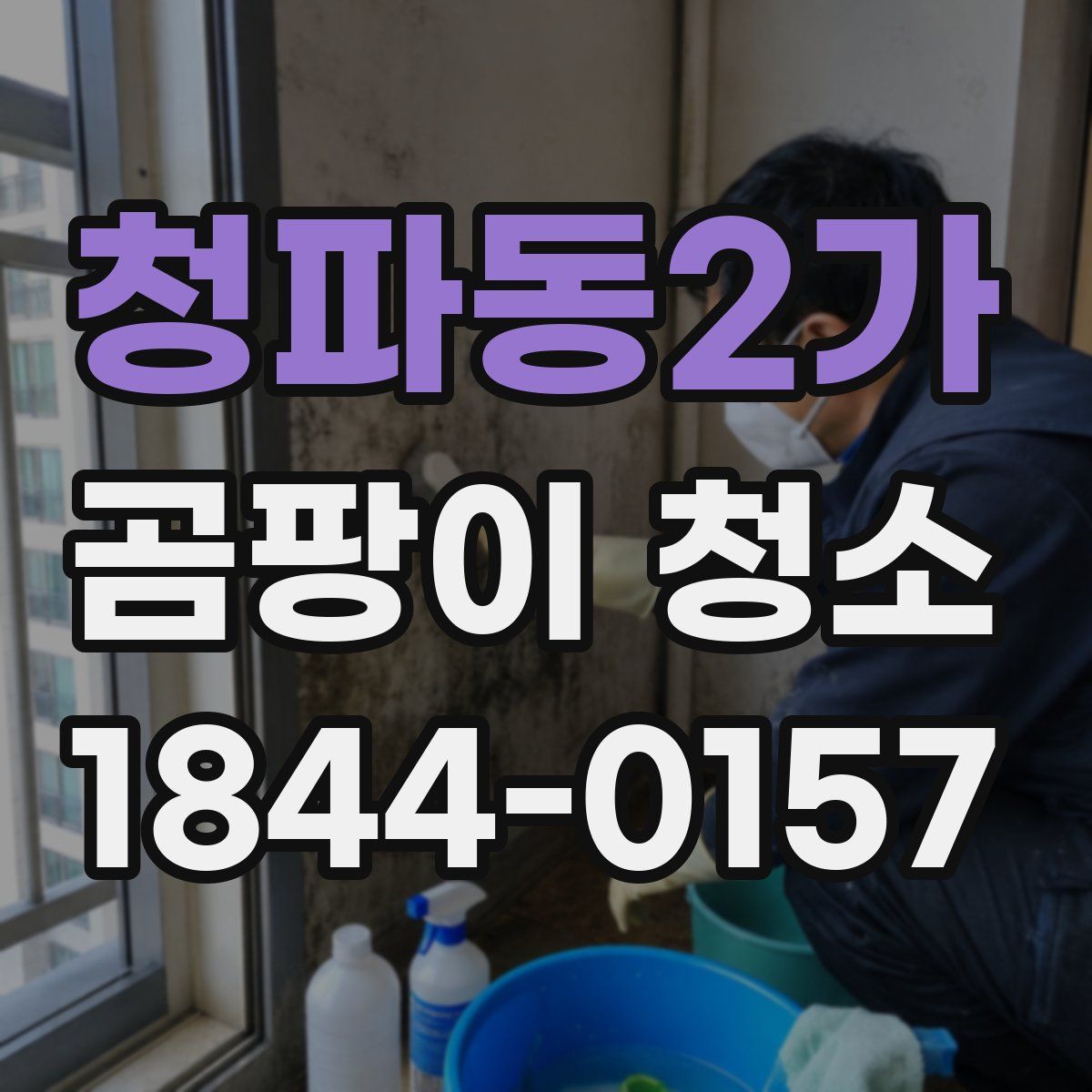 청파동2가 곰팡이 청소