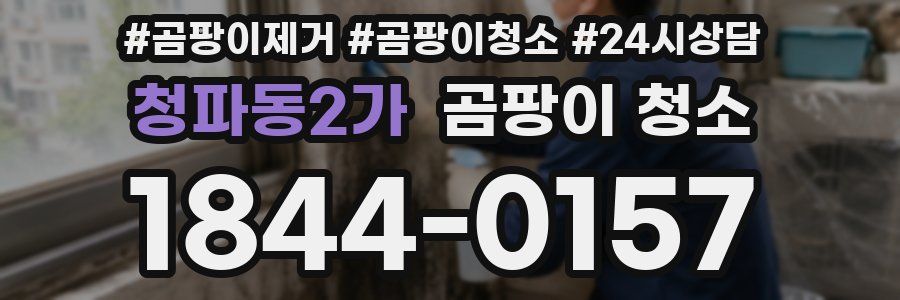 청파동2가 곰팡이 청소