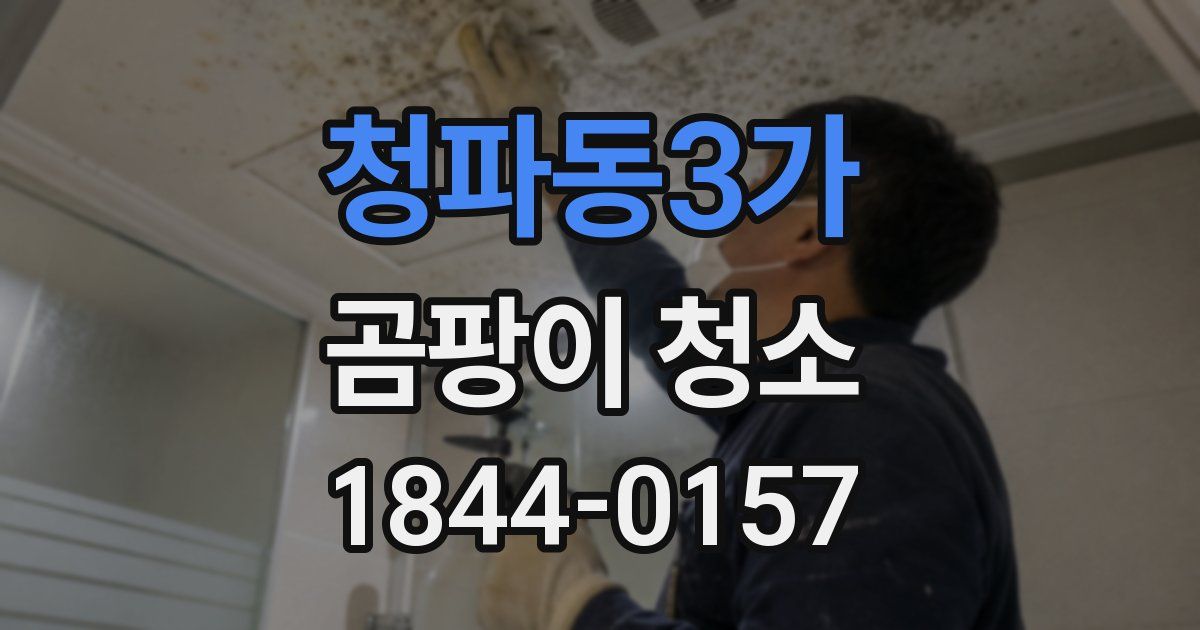 청파동3가 곰팡이 청소