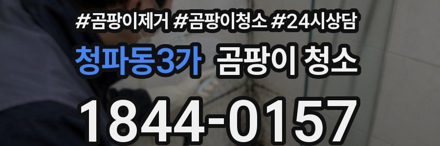 청파동3가 곰팡이 청소