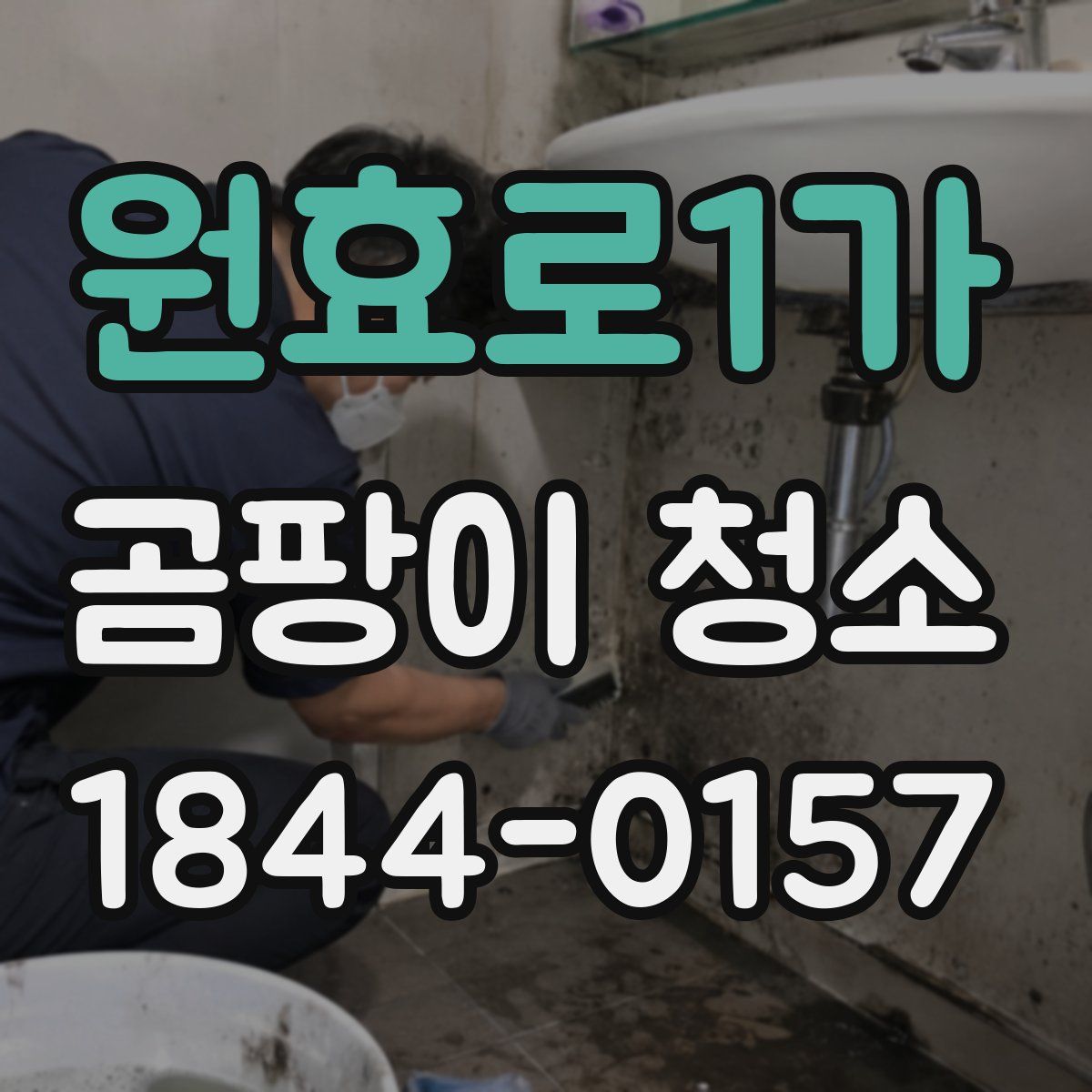 원효로1가 곰팡이 청소