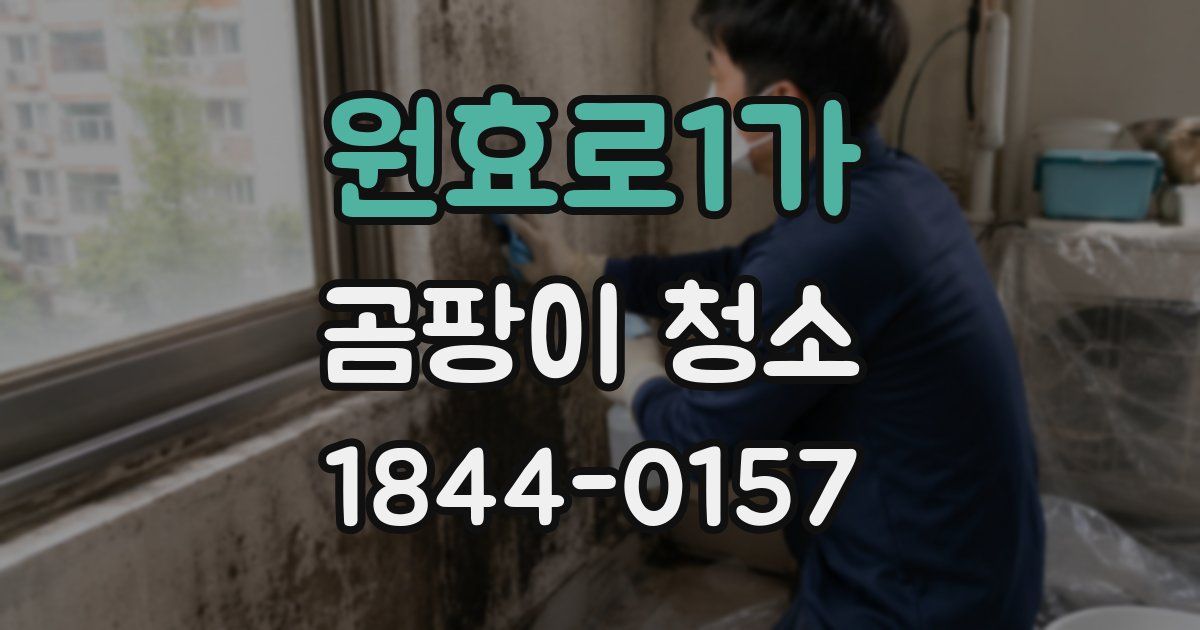 원효로1가 곰팡이 청소