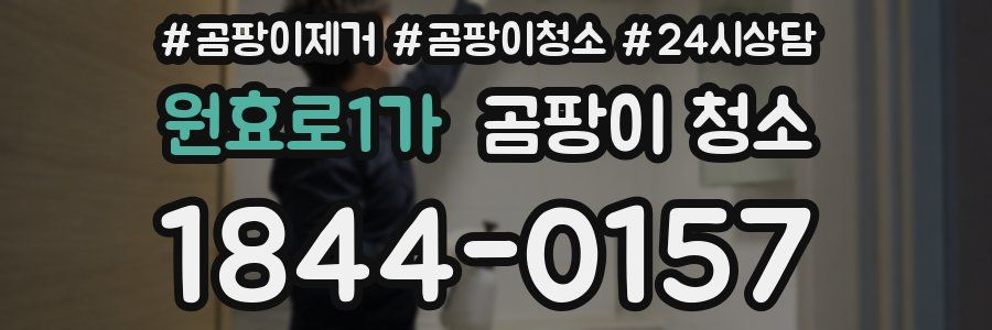원효로1가 곰팡이 청소