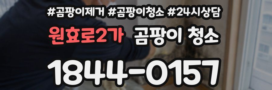 원효로2가 곰팡이 청소