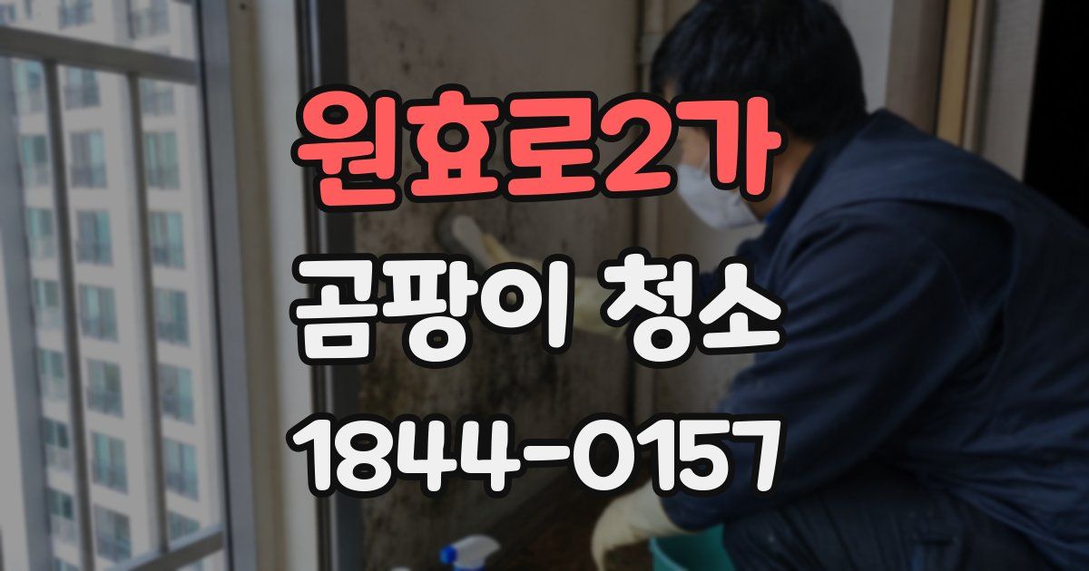 원효로2가 곰팡이 청소