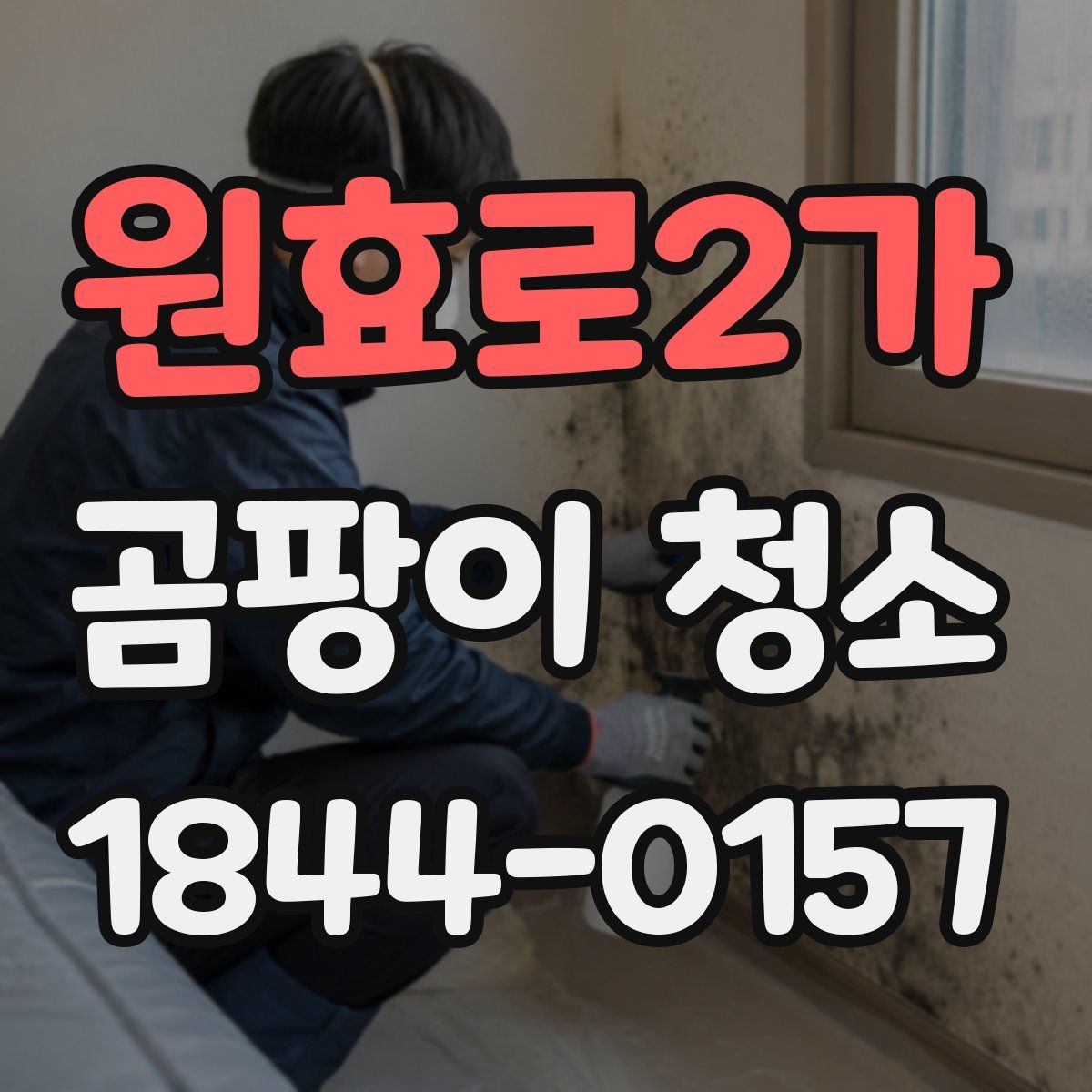 원효로2가 곰팡이 청소