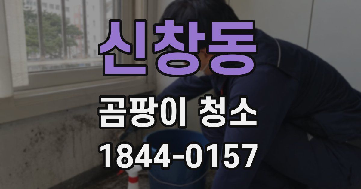 신창동 곰팡이 청소