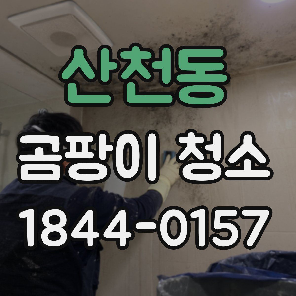 산천동 곰팡이 청소