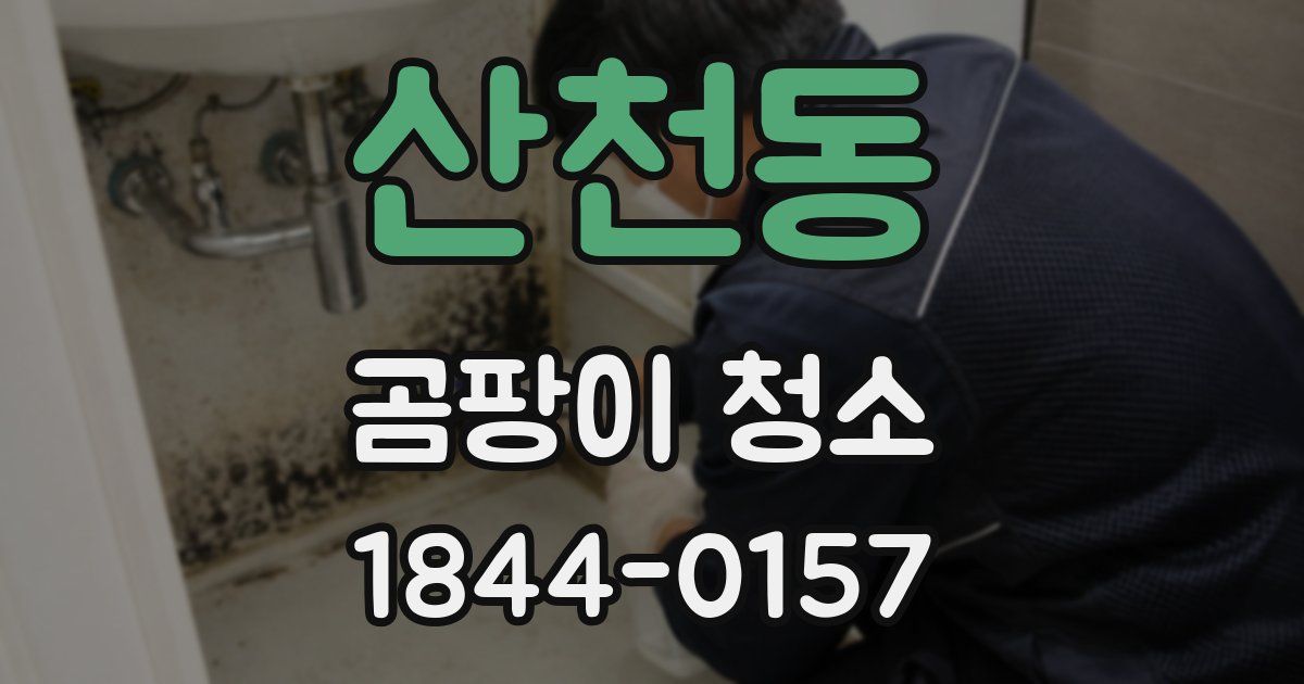 산천동 곰팡이 청소