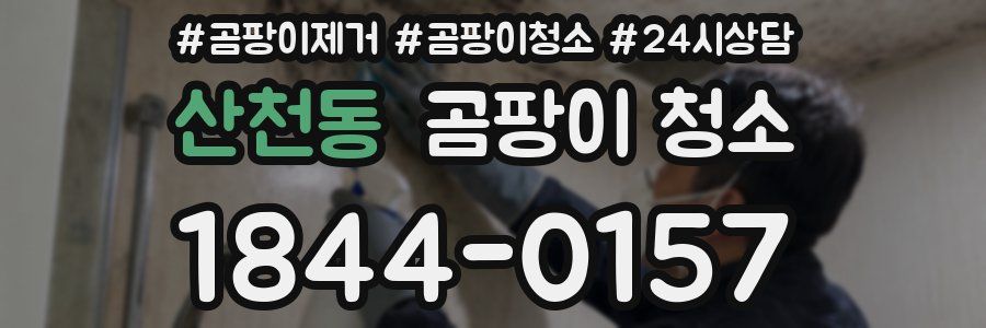 산천동 곰팡이 청소
