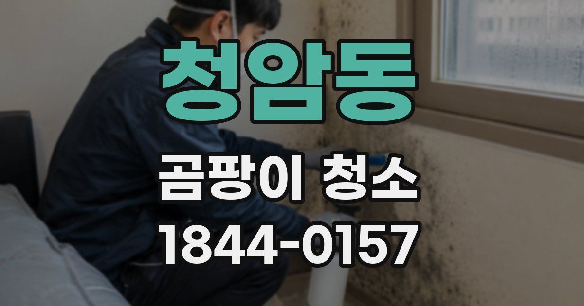 청암동 곰팡이 청소