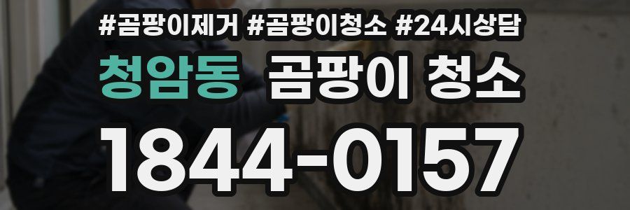 청암동 곰팡이 청소