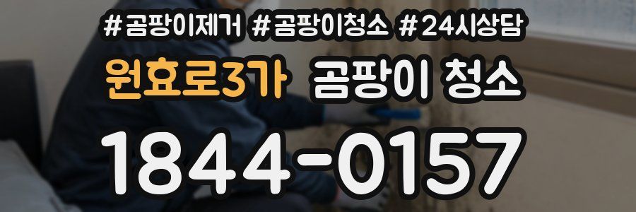 원효로3가 곰팡이 청소
