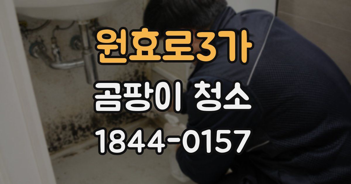 원효로3가 곰팡이 청소