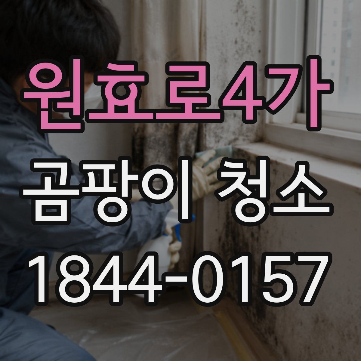 원효로4가 곰팡이 청소