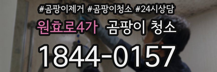 원효로4가 곰팡이 청소