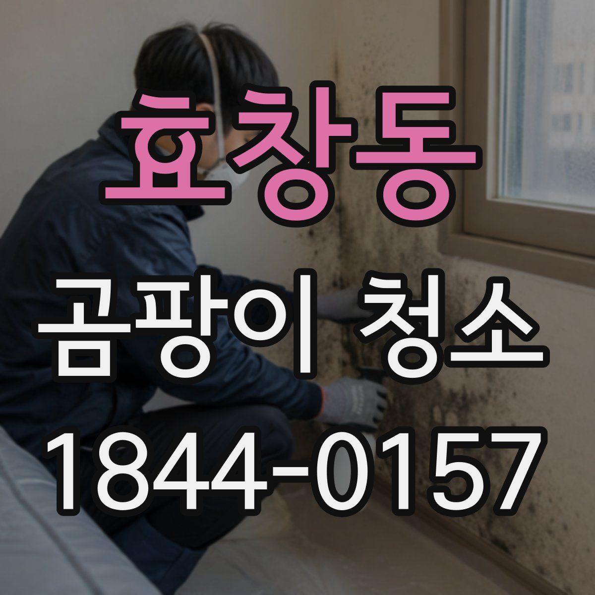 효창동 곰팡이 청소