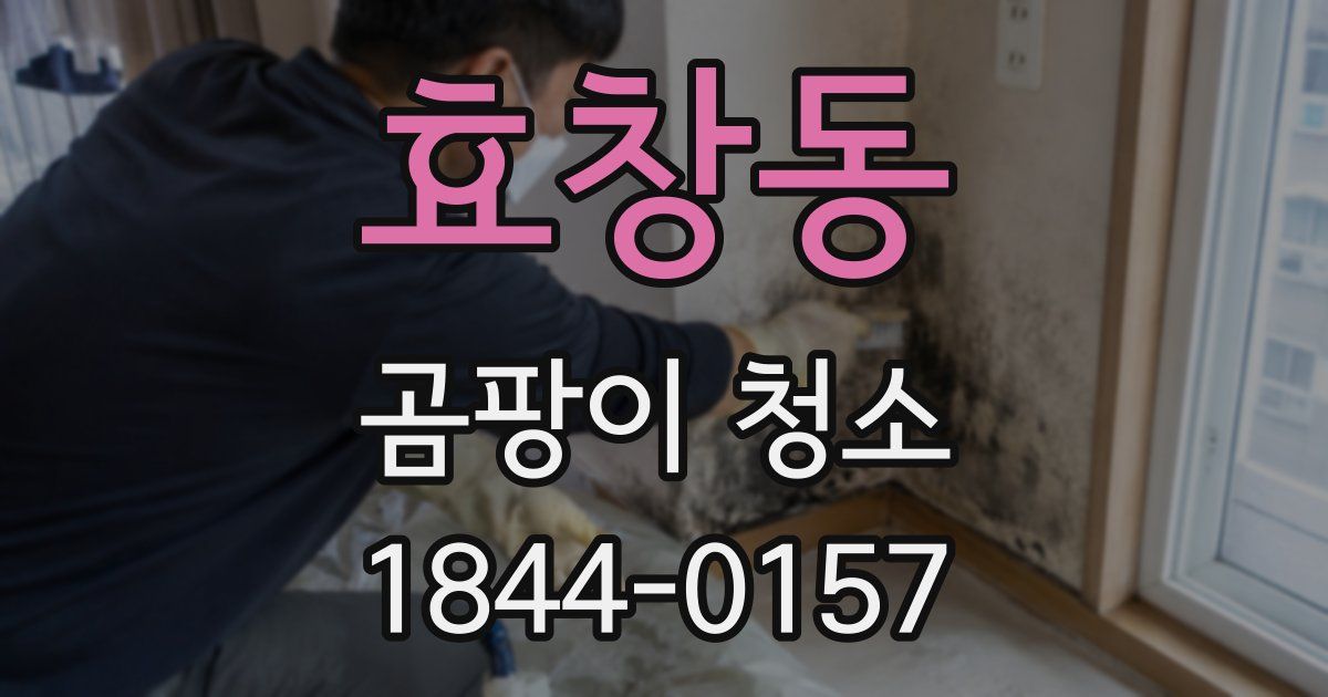 효창동 곰팡이 청소