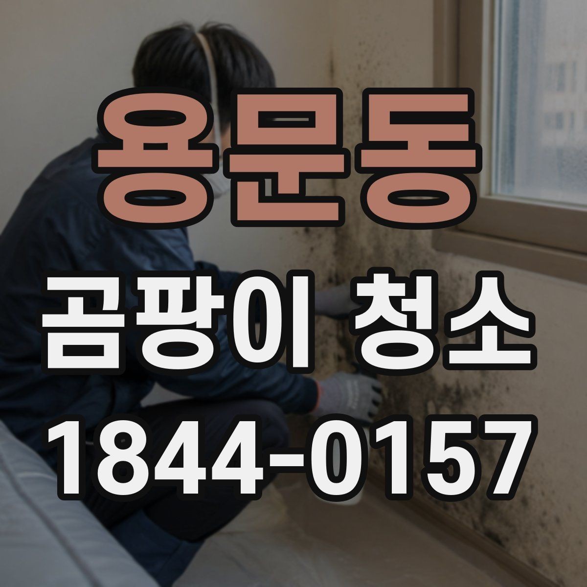 용문동 곰팡이 청소 후 재오염을 줄이는 생활 관리 요령
