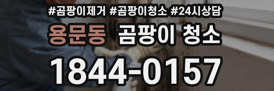 용문동 곰팡이 청소