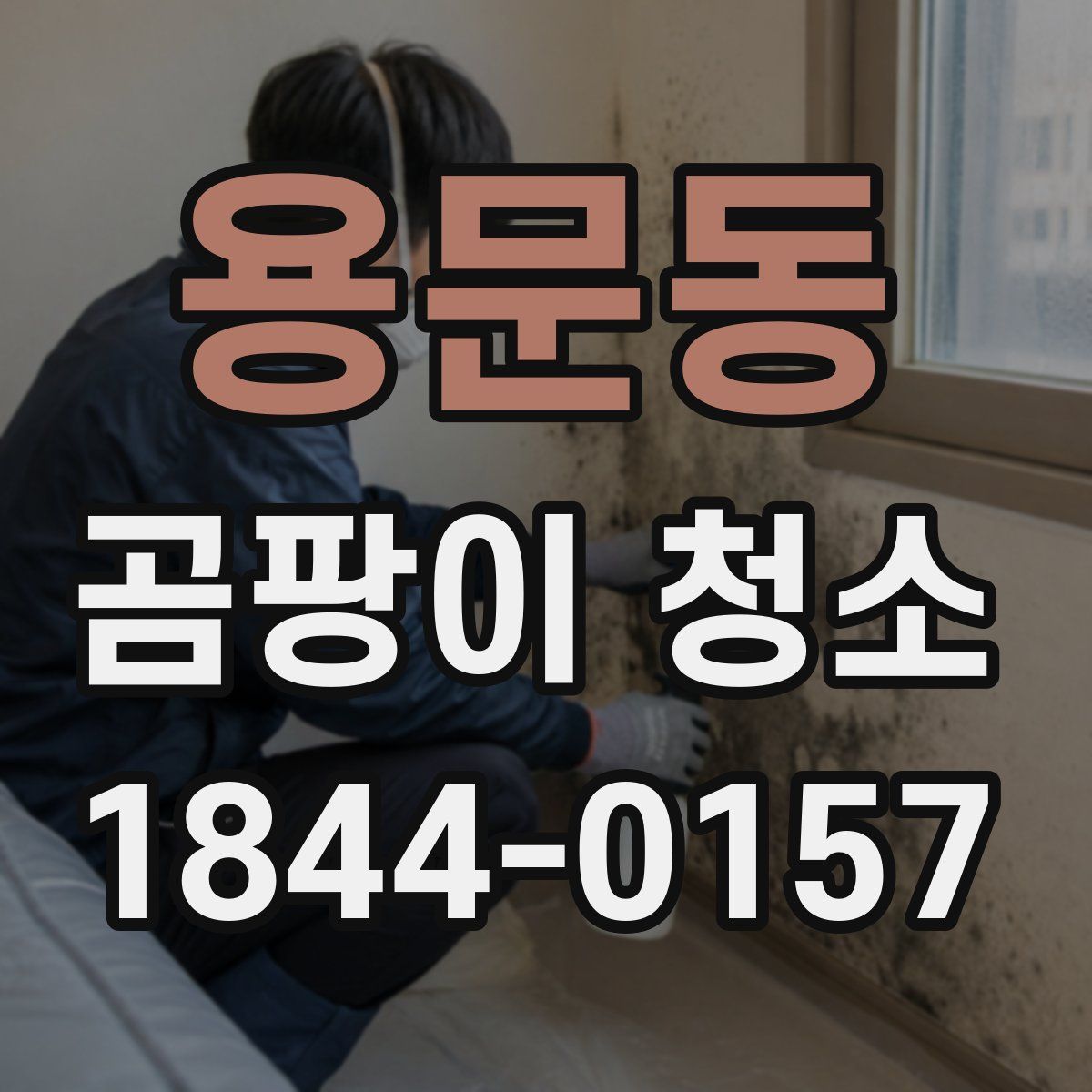 용문동 곰팡이 청소