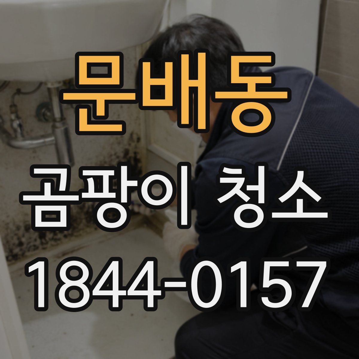 문배동 곰팡이 청소