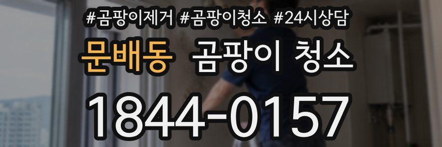 문배동 곰팡이 청소