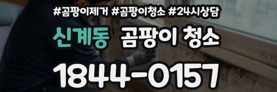 신계동 곰팡이 청소