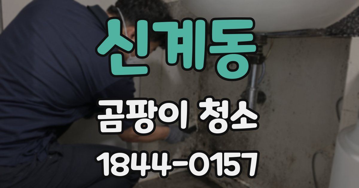 신계동 곰팡이 청소