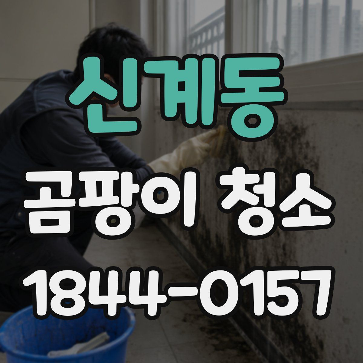 신계동 곰팡이 청소