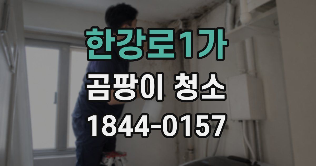 한강로1가 곰팡이 청소