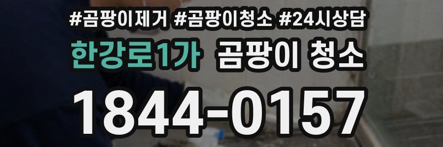 한강로1가 곰팡이 청소