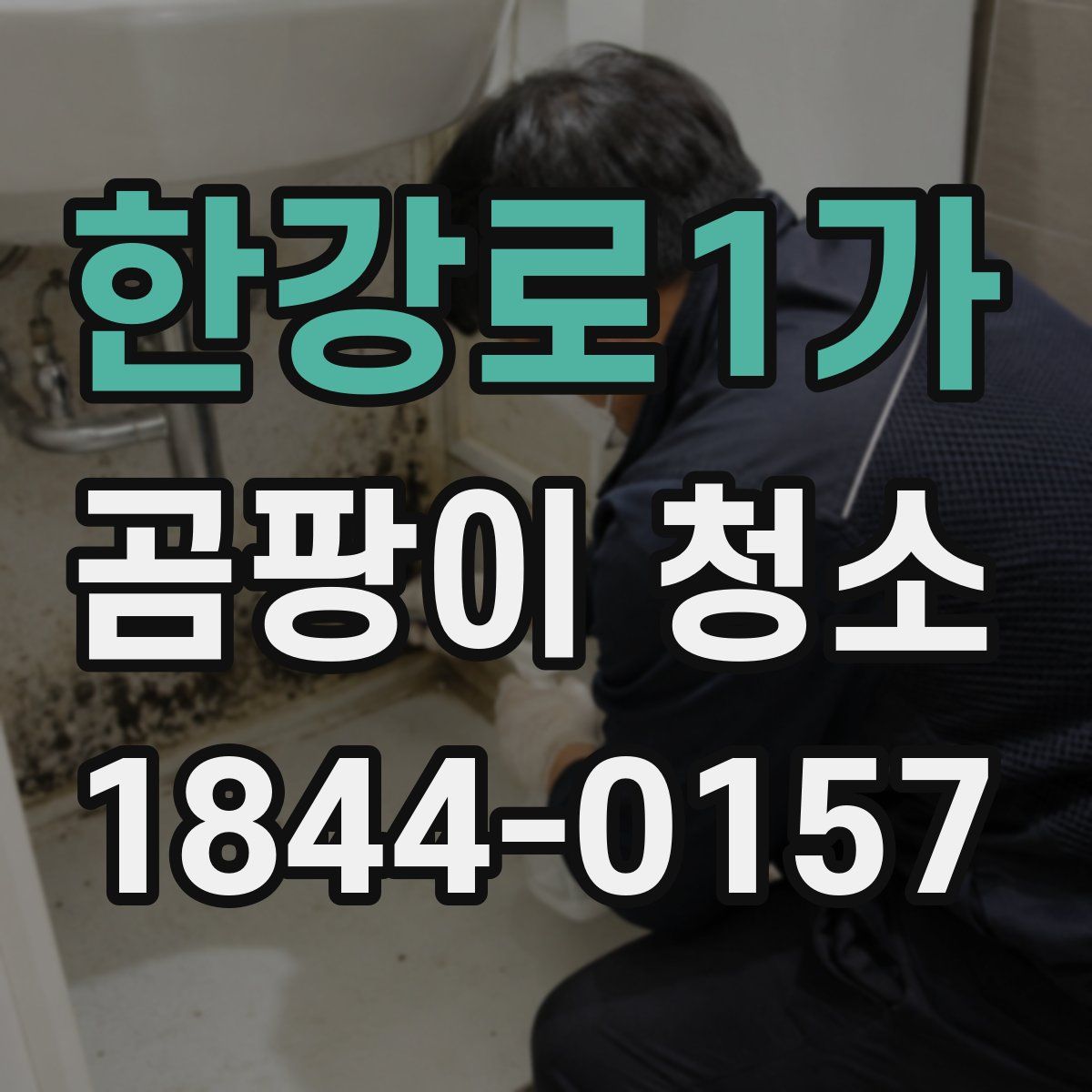 한강로1가 곰팡이 청소