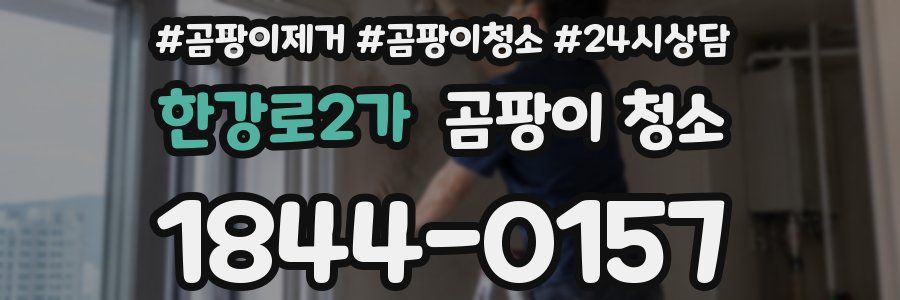한강로2가 곰팡이 청소