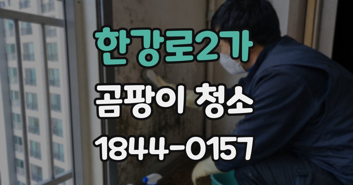 한강로2가 곰팡이 청소