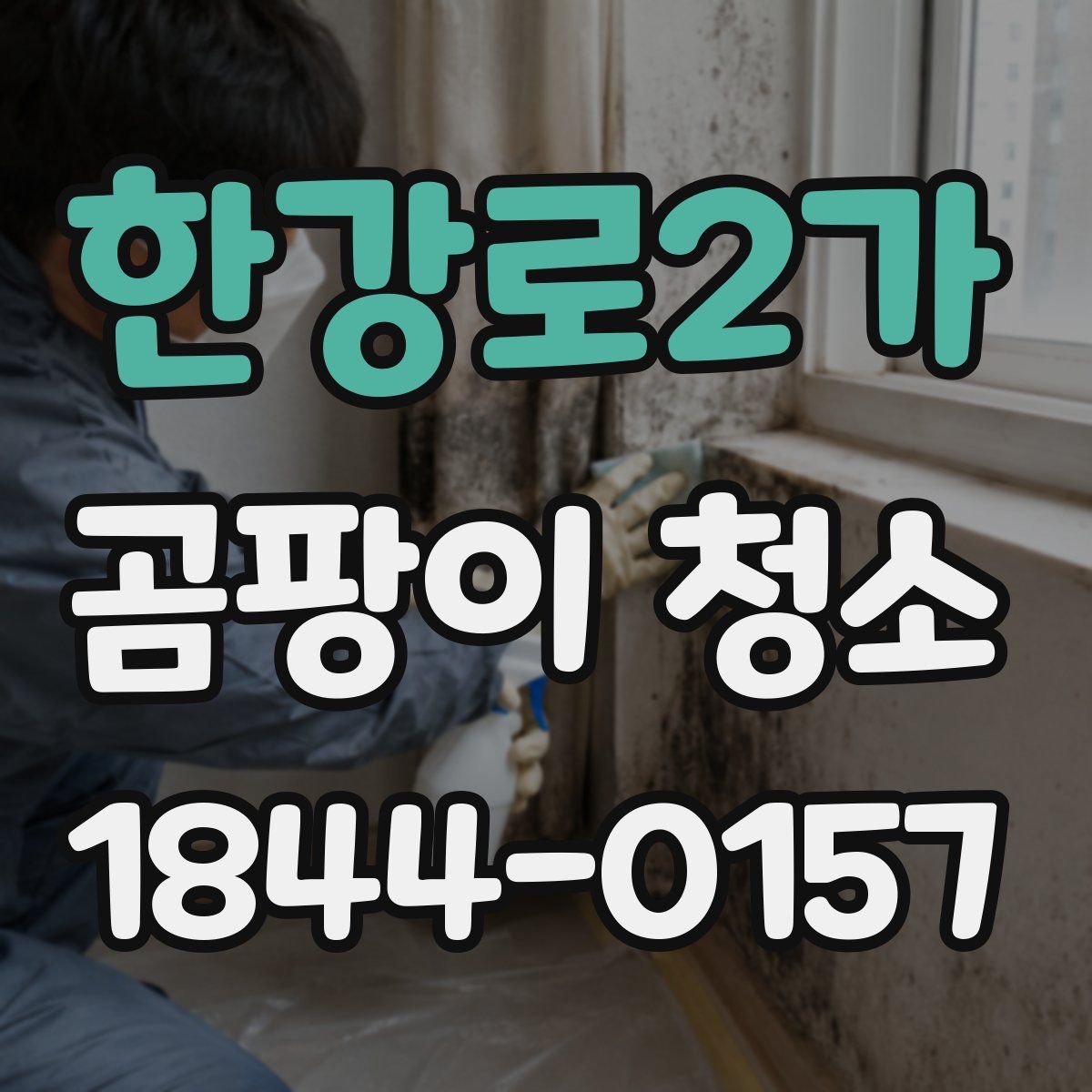 한강로2가 곰팡이 청소