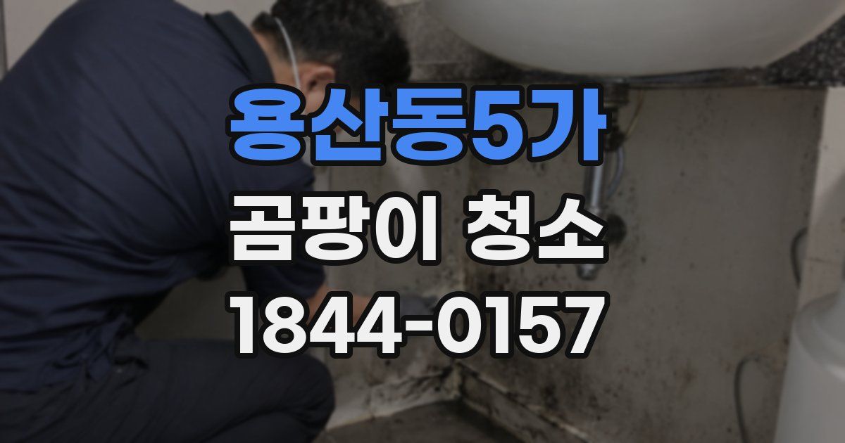 용산동5가 곰팡이 청소
