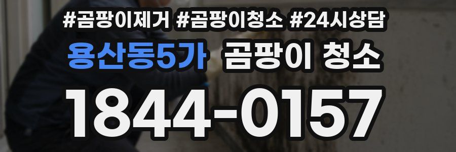 용산동5가 곰팡이 청소