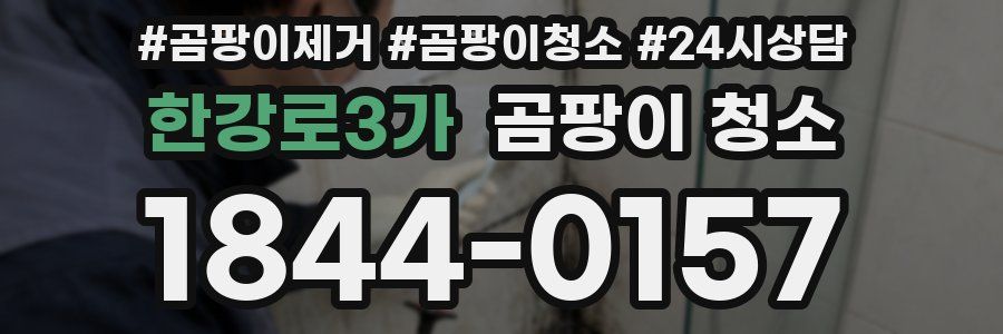 한강로3가 곰팡이 청소