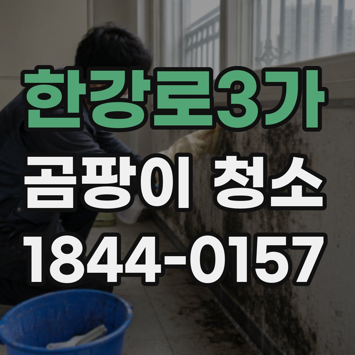 한강로3가 곰팡이 청소
