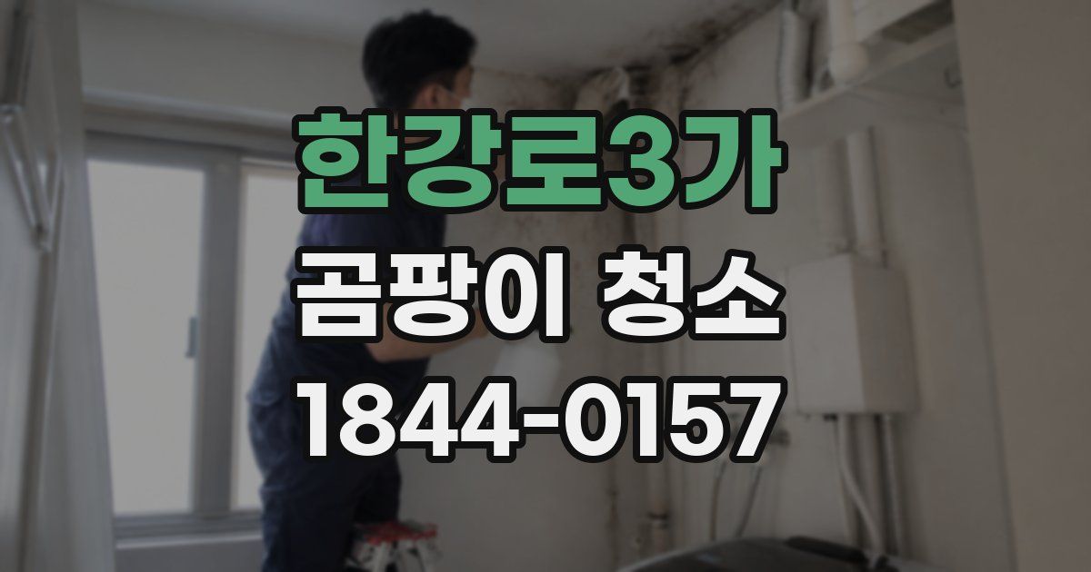 한강로3가 곰팡이 청소