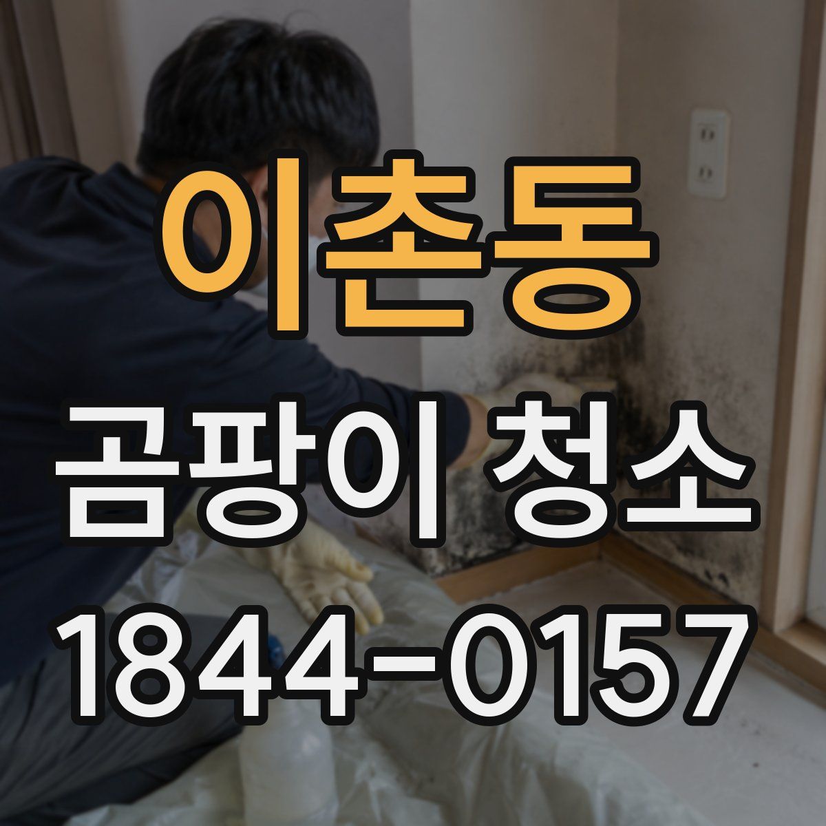 이촌동 곰팡이 청소