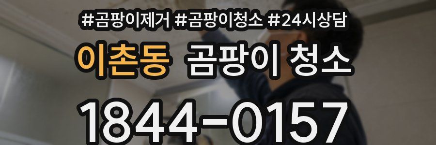 이촌동 곰팡이 청소