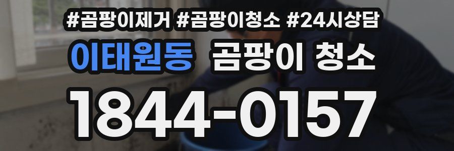 이태원동 곰팡이 청소