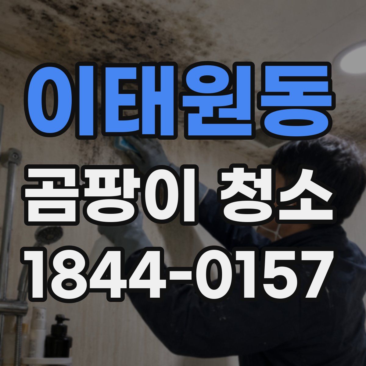 이태원동 곰팡이 청소